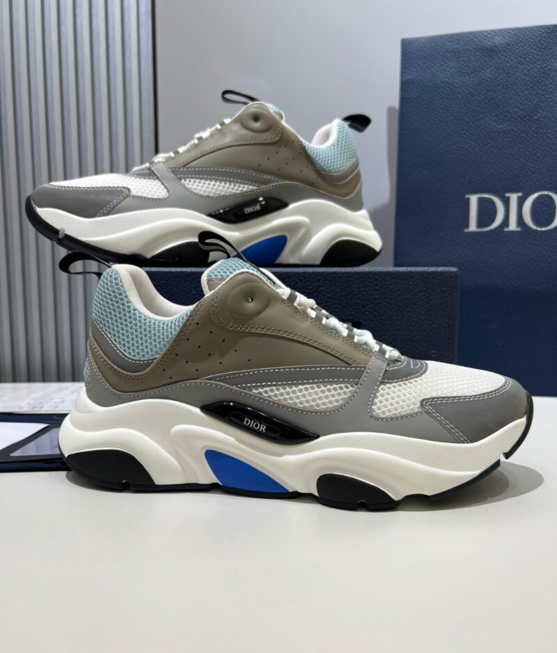 Dior B22
